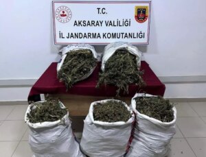 Aksaray’da Kenevir Yetiştiren Şahıs Tutuklandı